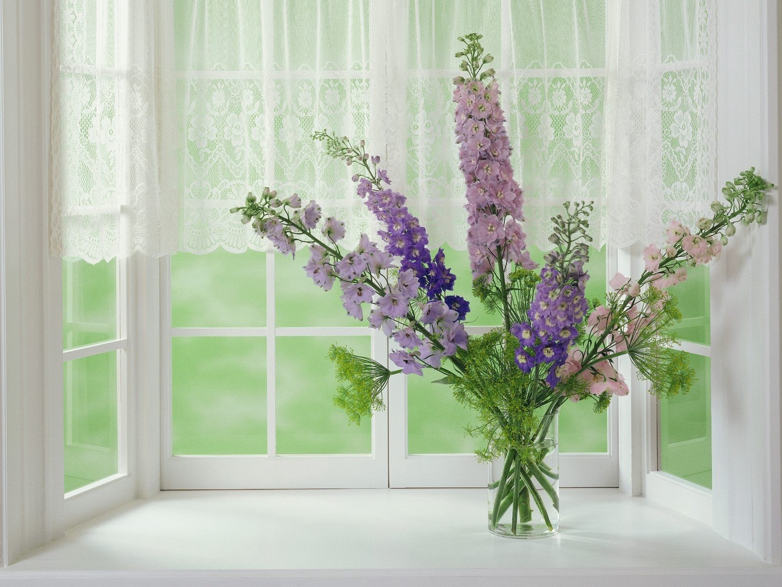 Wallpaper Gladioli, Flowers, Window, Flower, Vase - Flowers With Window Backgrounds - HD Wallpaper 