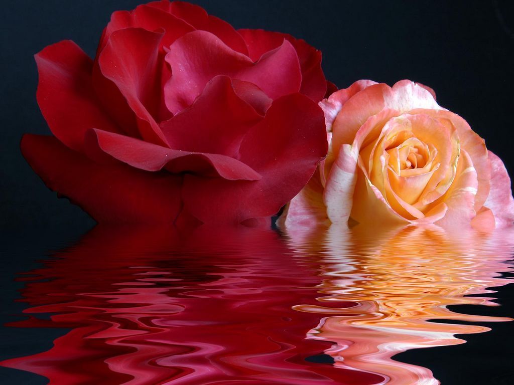 Pretty Roses - Famous Paintings With Roses - HD Wallpaper 