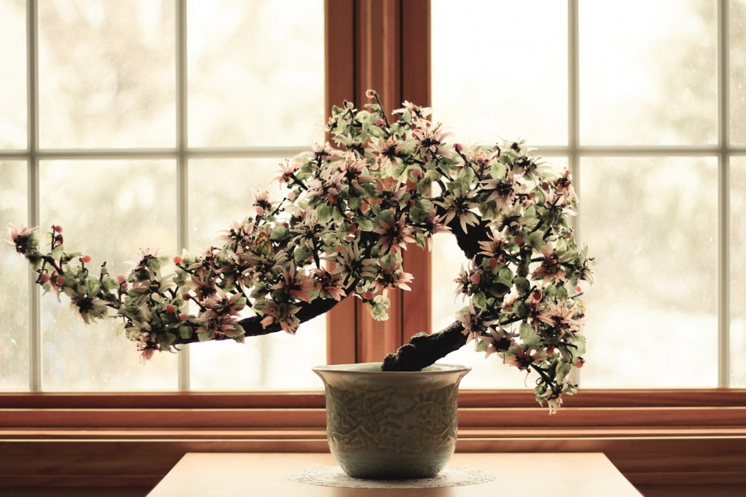 Bonsai Plant In Flower Vase - Fonds D Écran Gratuit Bonsai - HD Wallpaper 