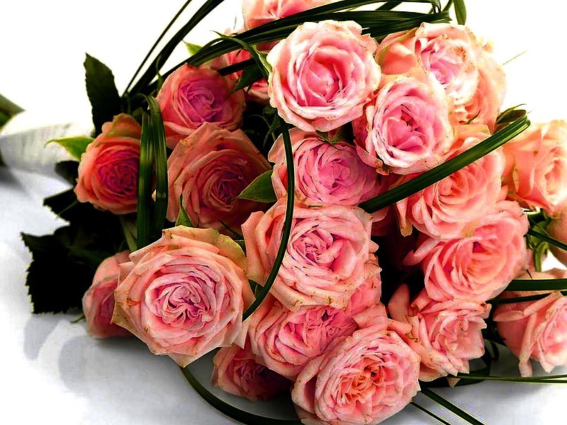 Rose Bouquet Wallpaper - Will You Be My Girlfriend Rose - 800x600 Wallpaper  