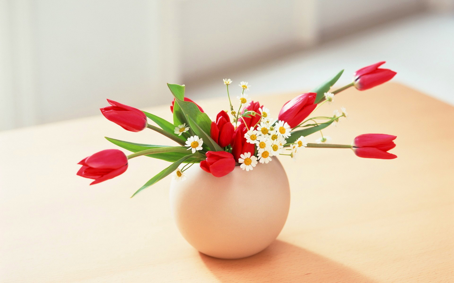 Flowers Vase - 1920x1200 Wallpaper Flowers Vase - 1920x1200 Wallpaper