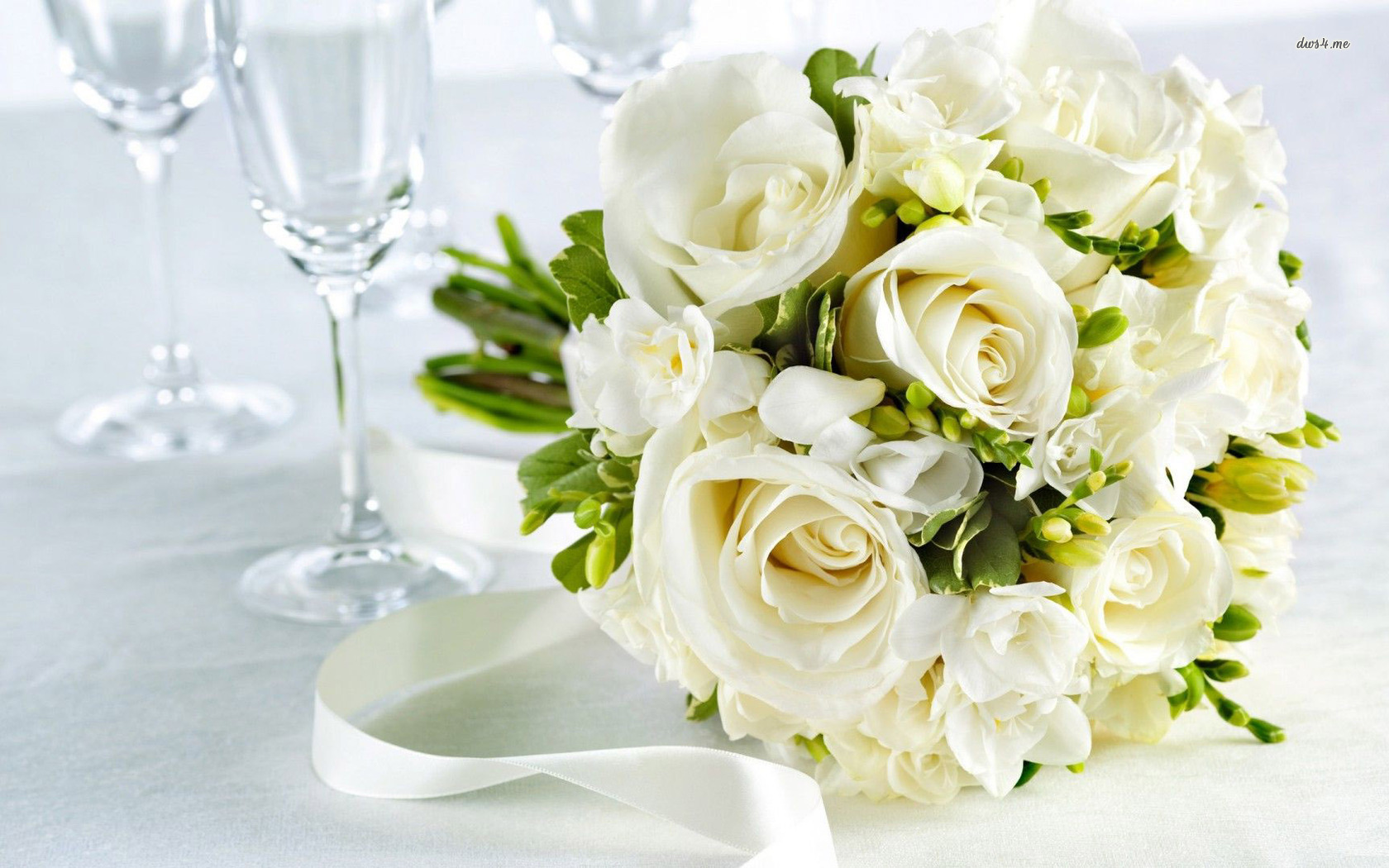 Beautiful White Rose Flowers - HD Wallpaper 