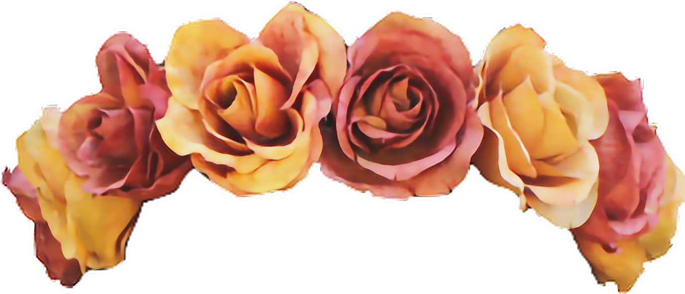 Flower Crown Png Tumblr - Orange Flower Crown Transparent - HD Wallpaper 