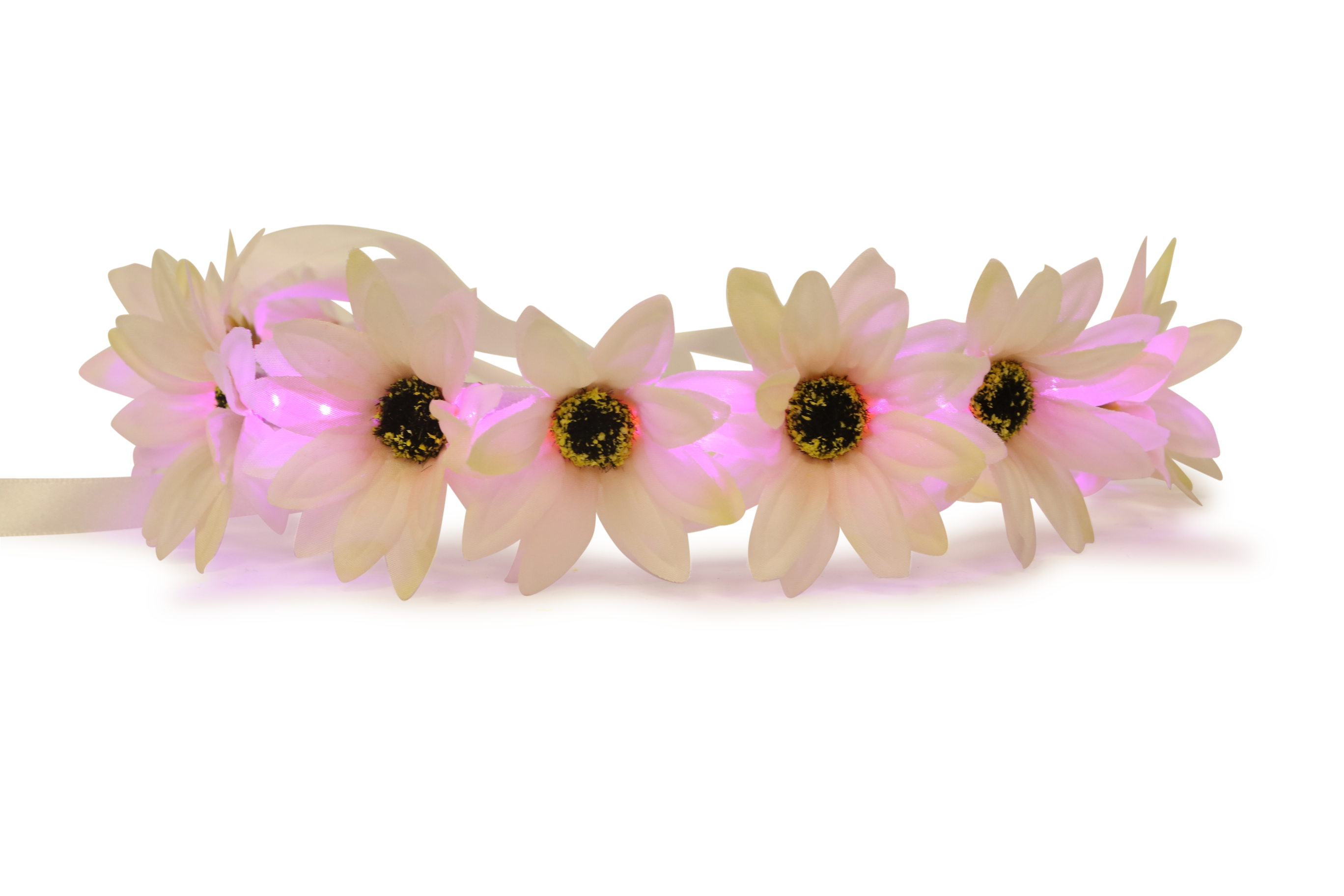 Transparent Tumblr Image Collections Crown Flower Transparent Hd