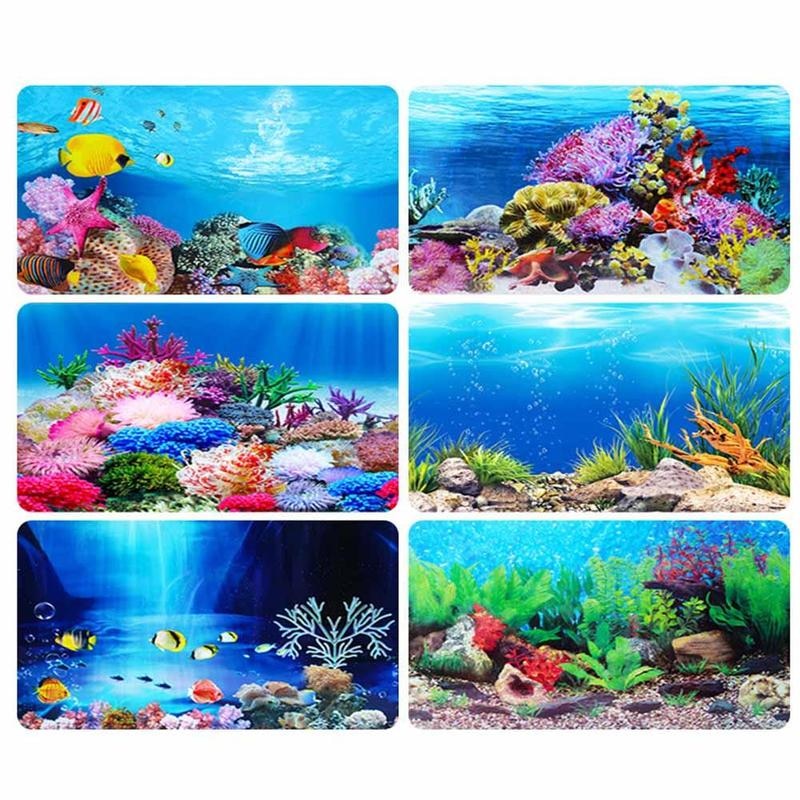 Aquarium Background 3d Wallpaper Image Num 91