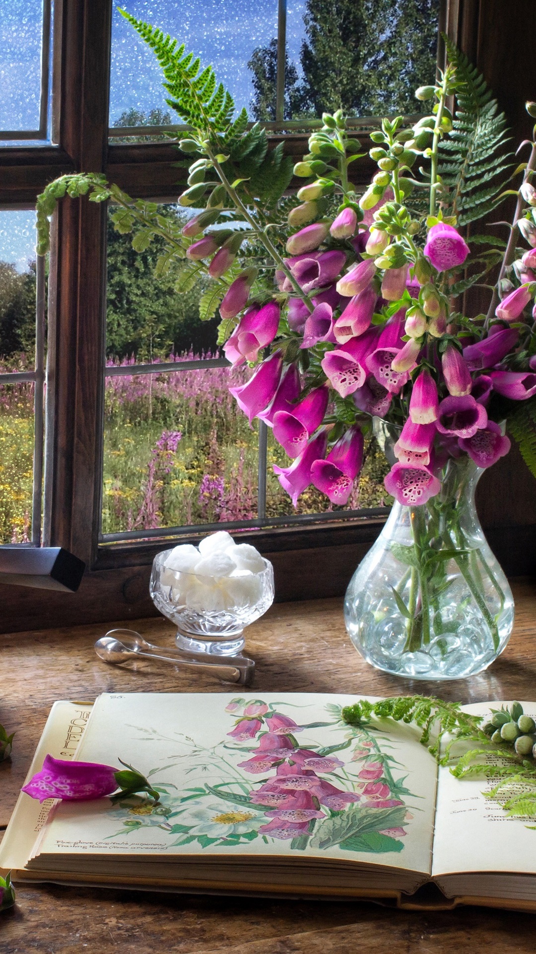 Iphone Wallpaper Digitalis, Pink Flowers, Book, Lamp, - Puzzle Castorland Still Life - HD Wallpaper 