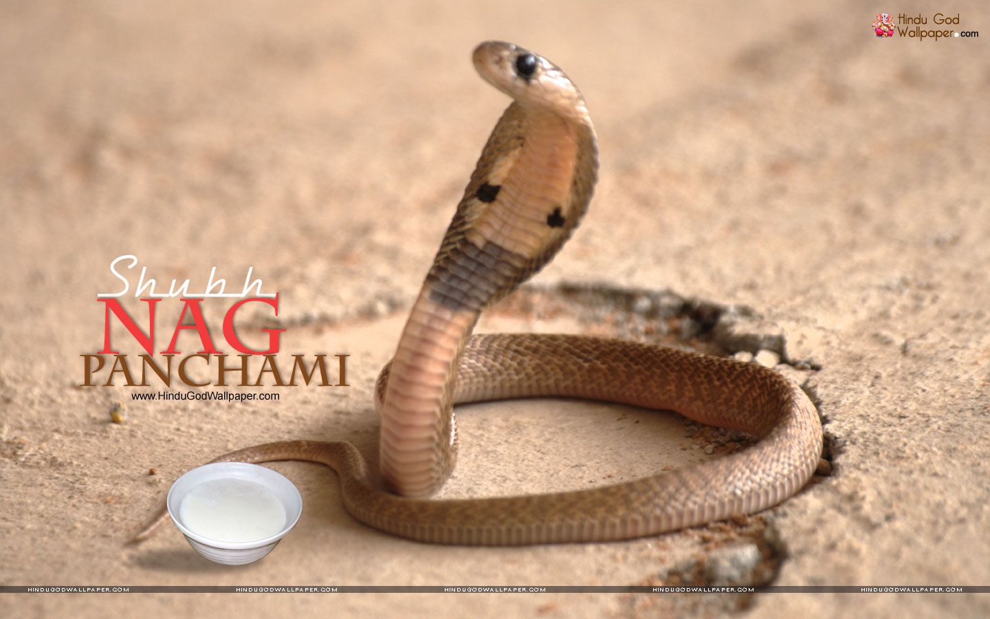 Happy Nag Panchami Image Download - HD Wallpaper 