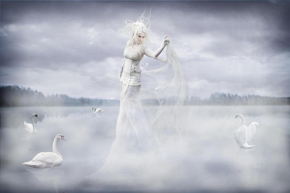 Ghost Of Swan Lake Wallpaper,lady Hd Wallpaper,fantasy - Tundra Swan - HD Wallpaper 