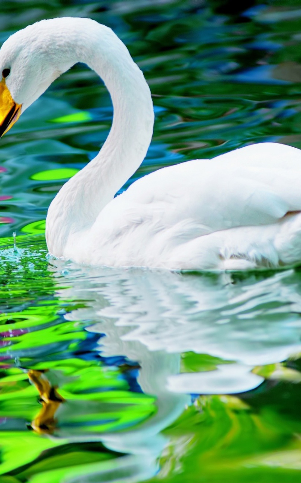 All Wallpaper For Mobile - HD Wallpaper 