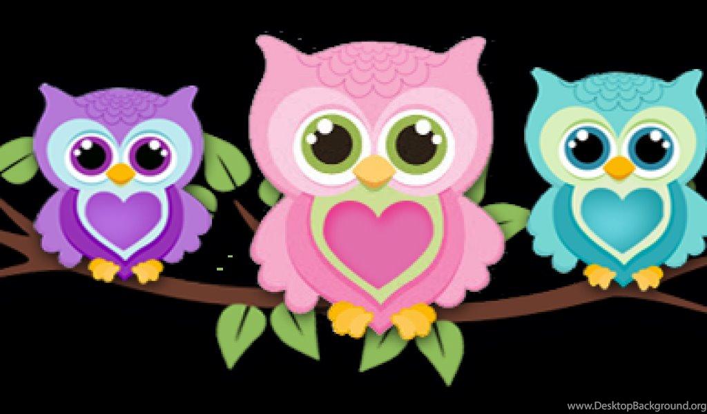 Cute Owl Cartoon Png - HD Wallpaper 