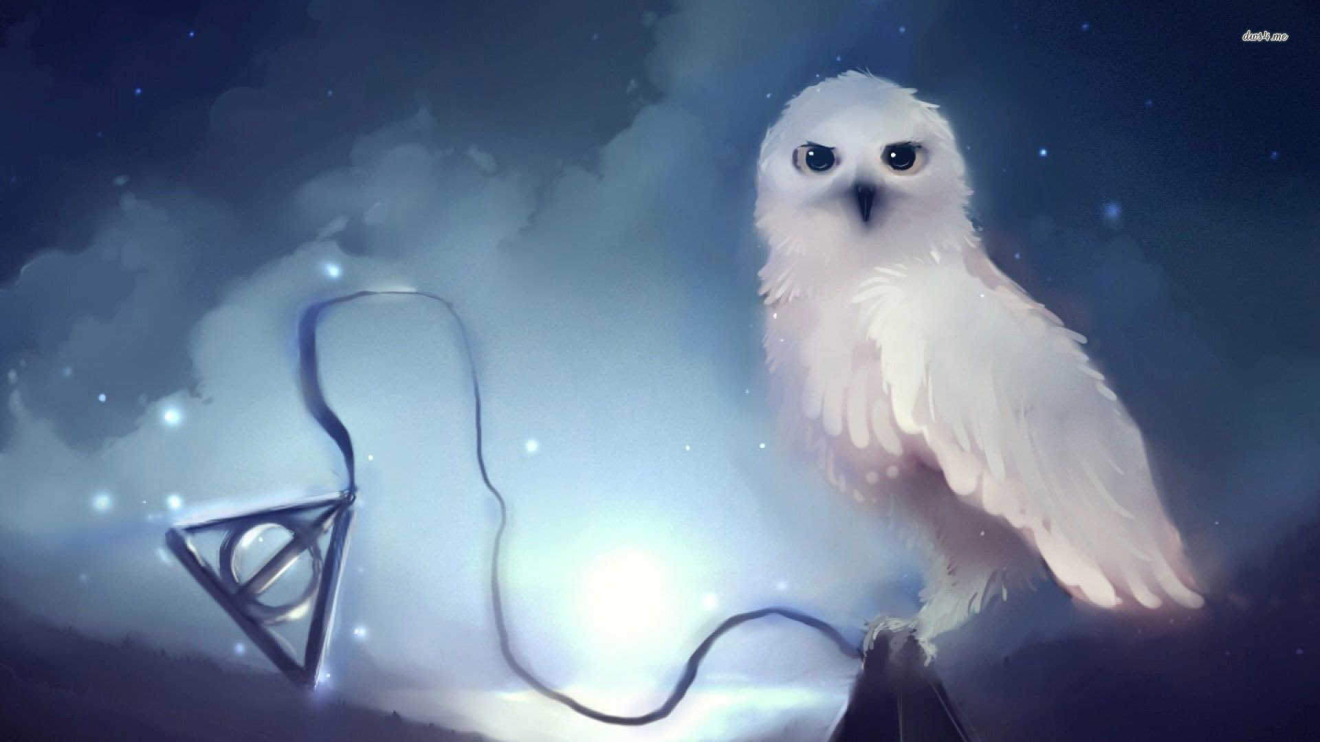 Lechuza De Harry Potter - HD Wallpaper 