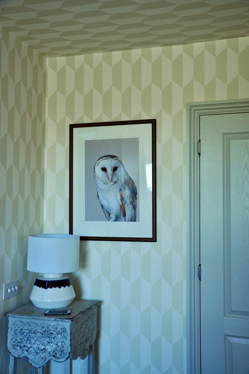 A Barn Owl Print On A Wall In The Corner Of A Geometrica - Living Room - HD Wallpaper 
