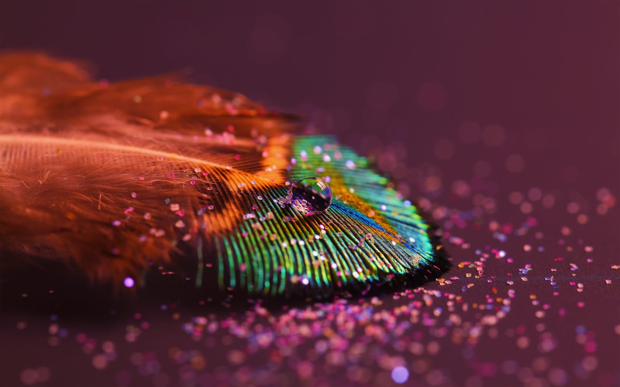Desktop Peacock Feather Wallpaper Border - Creative Photography Images Hd - HD Wallpaper 