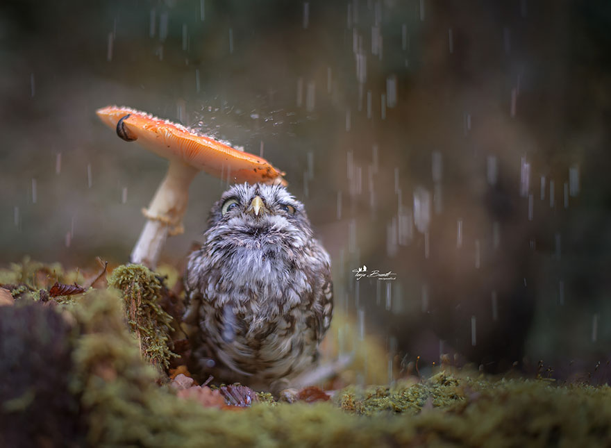 Tanja Brandt - HD Wallpaper 