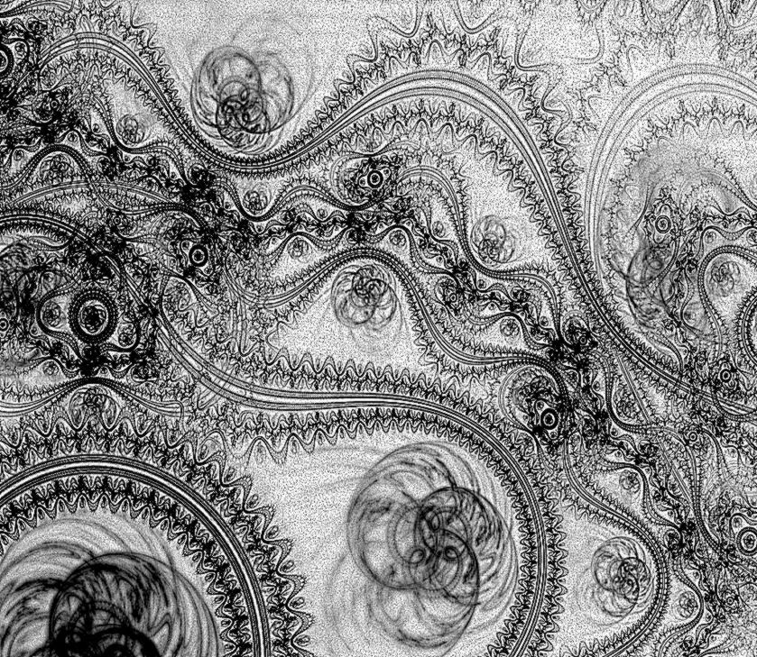 Download Black Lace Fl Design Wallpaper Full Hd Wallpapers - Black Lace - HD Wallpaper 