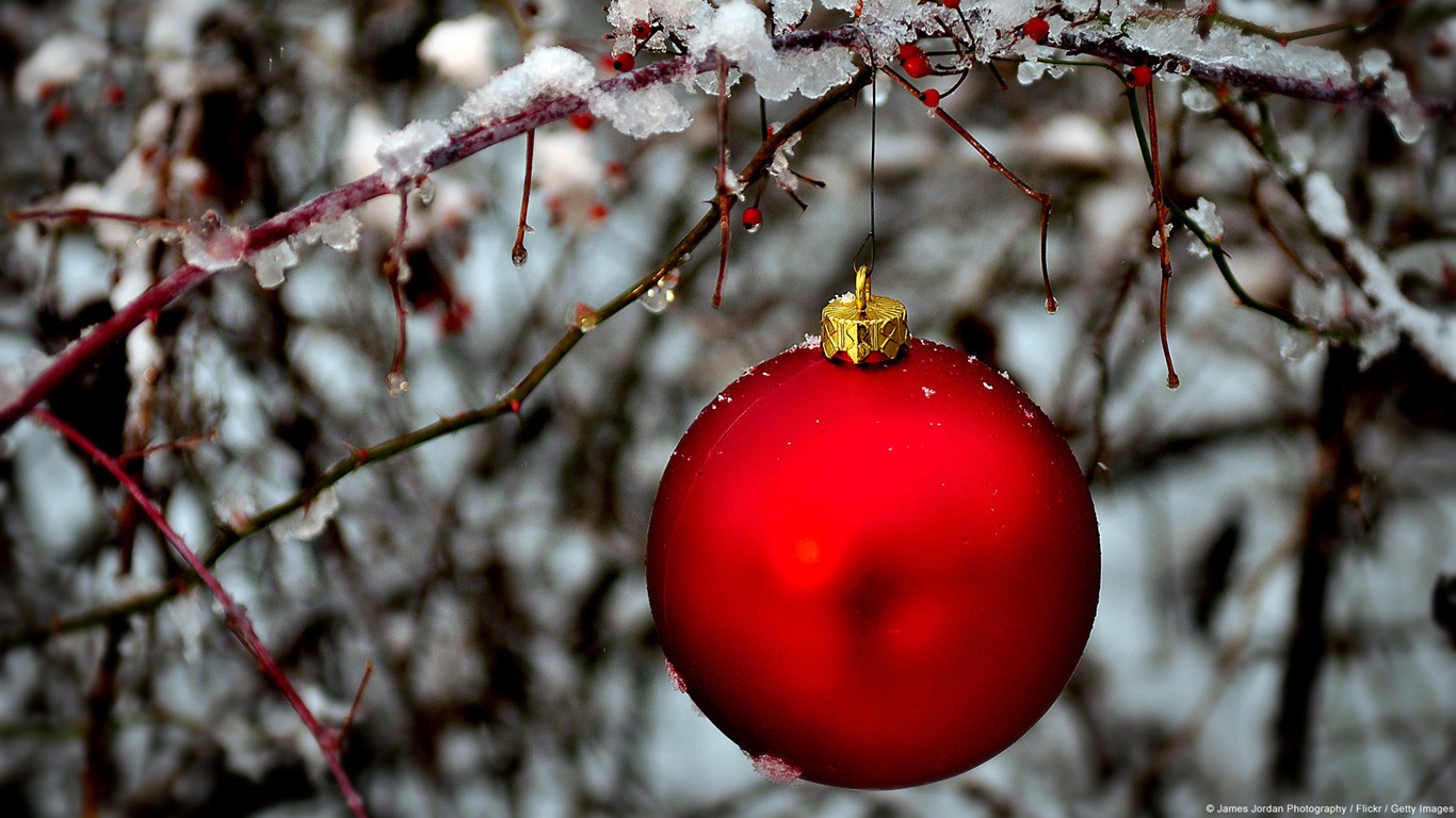 Bright Red Ornament-windows 10 Hd Wallpaper2015 - Christmas St Louis Cardinals - HD Wallpaper 