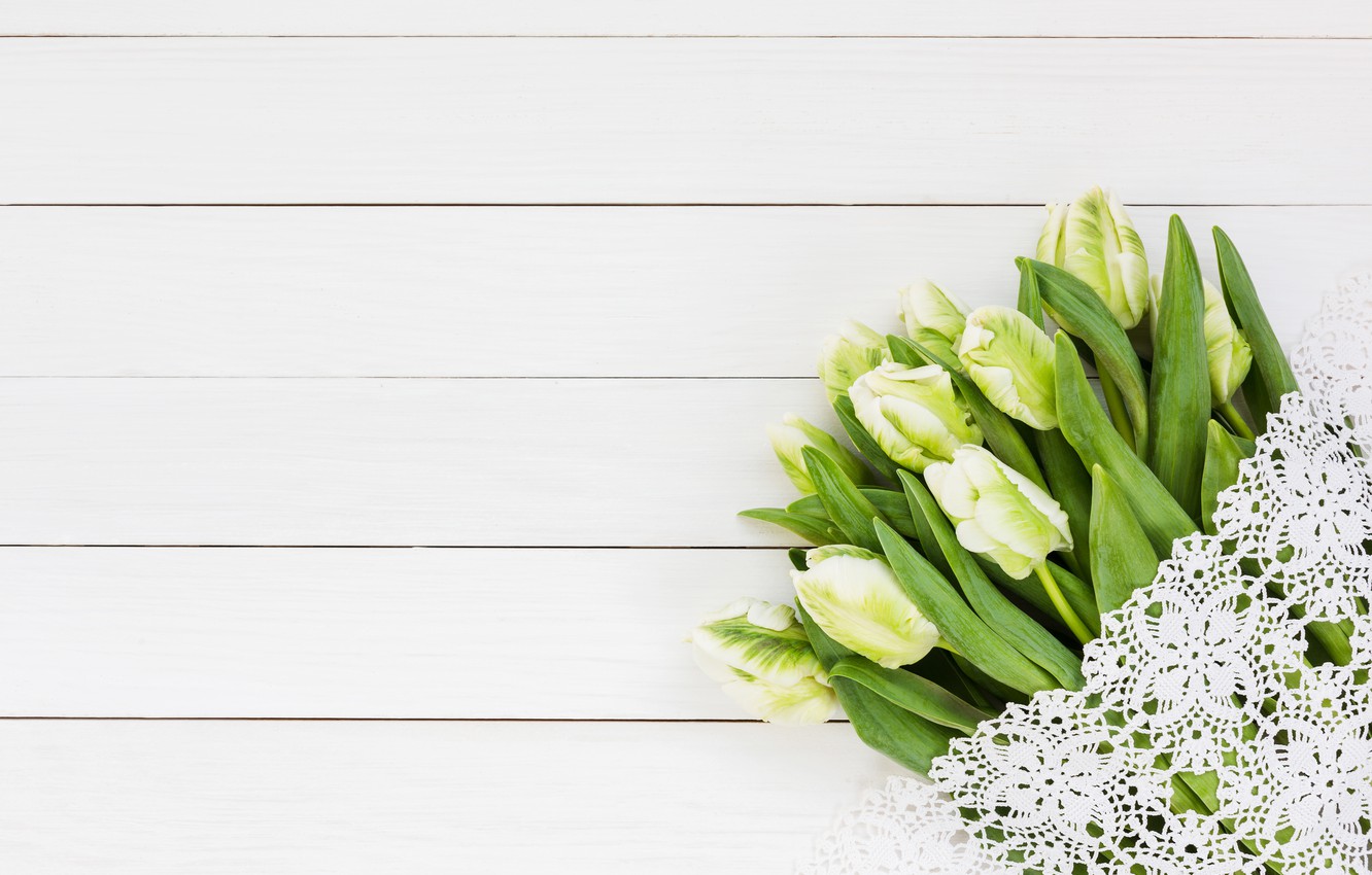 Photo Wallpaper Flowers, Bouquet, Tulips, White, White, - Bouquet - HD Wallpaper 