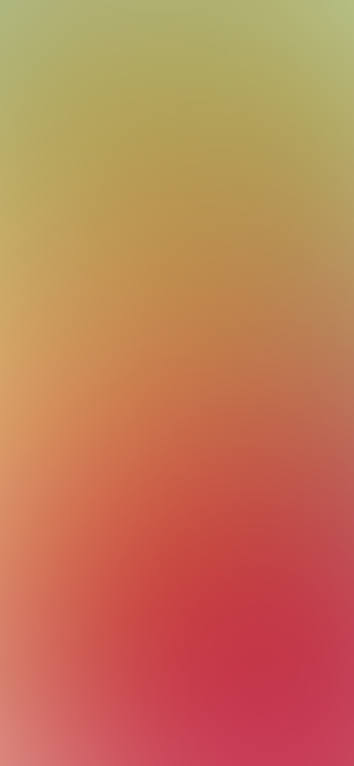 Orange - HD Wallpaper 
