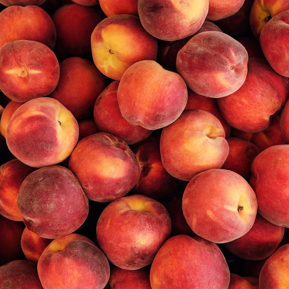 Peach - HD Wallpaper 