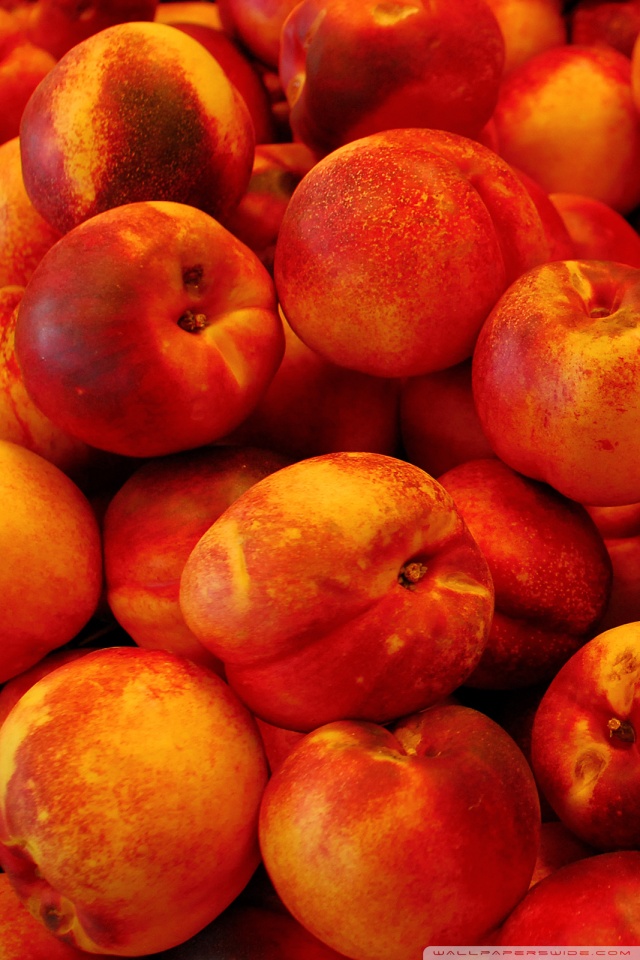 Peaches Phone - HD Wallpaper 