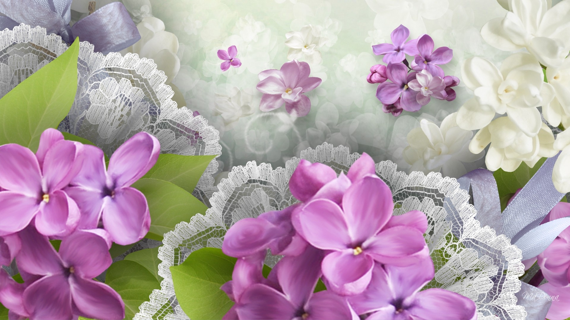 Purple With White Flowers Hd - HD Wallpaper 