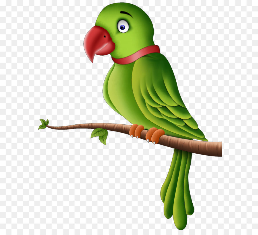 Parrot Wallpaper - Cartoon Images Of Parrot - HD Wallpaper 