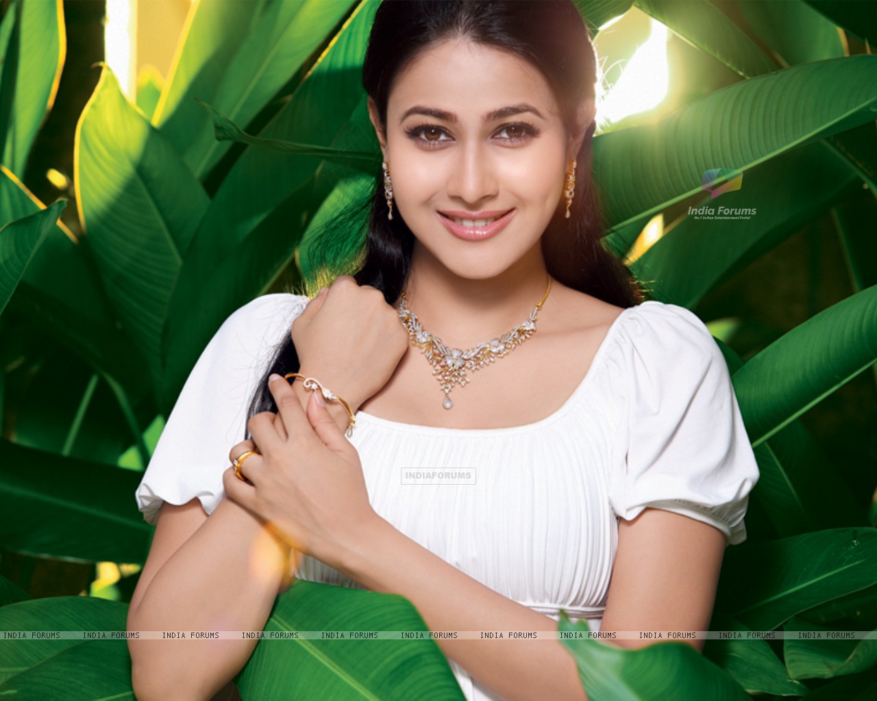 Photo Shoot - HD Wallpaper 