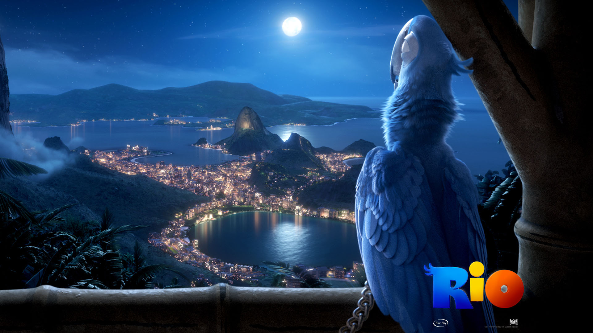 Wallpaper Rio Cartoon Aerial View Parrot - Animated Movie Wallpaper Hd - HD Wallpaper 