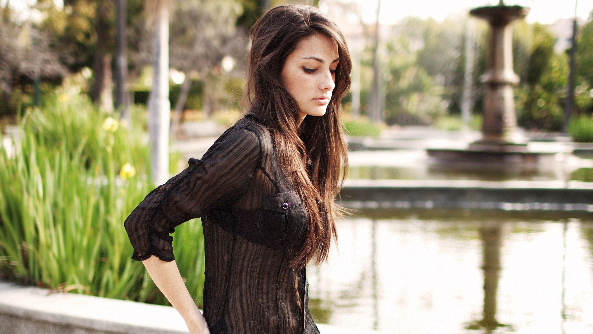 Olga Safari - HD Wallpaper 