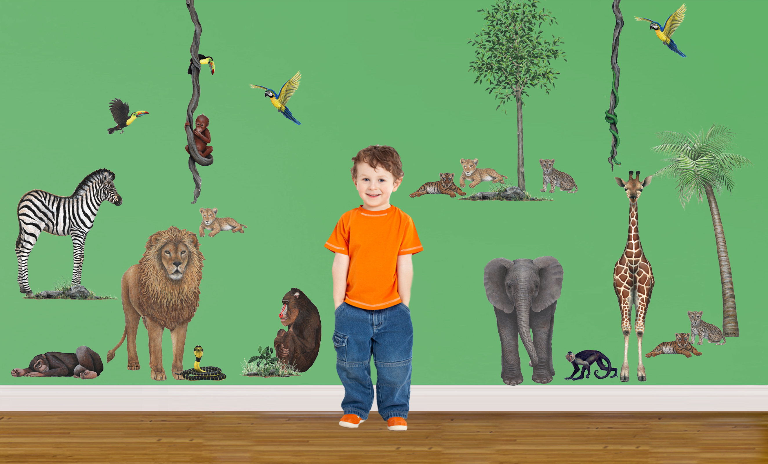 Giraffe - HD Wallpaper 