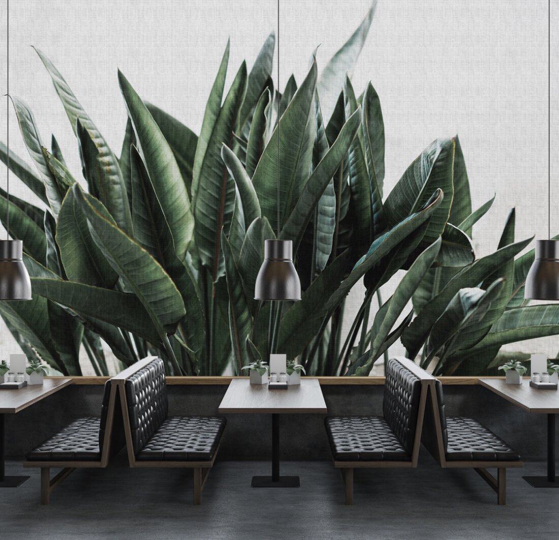 Kathrin Und Mark Patel Photo Wallpaper Urban Jungle - Urban Jungle - HD Wallpaper 