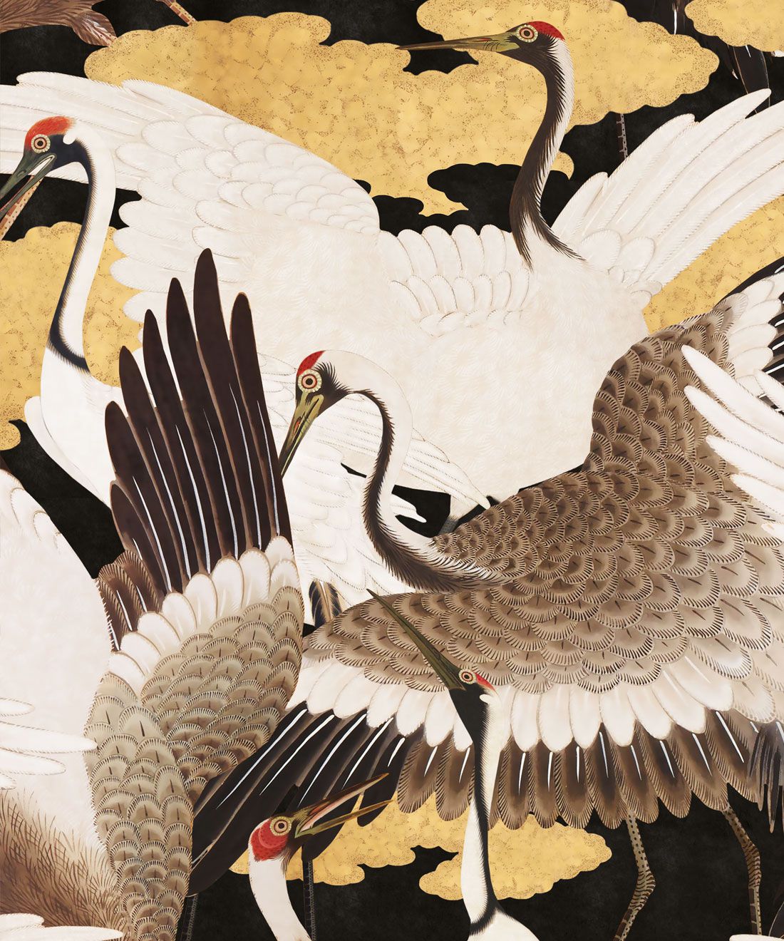 Cranes Wallpaper Milton And King - HD Wallpaper 