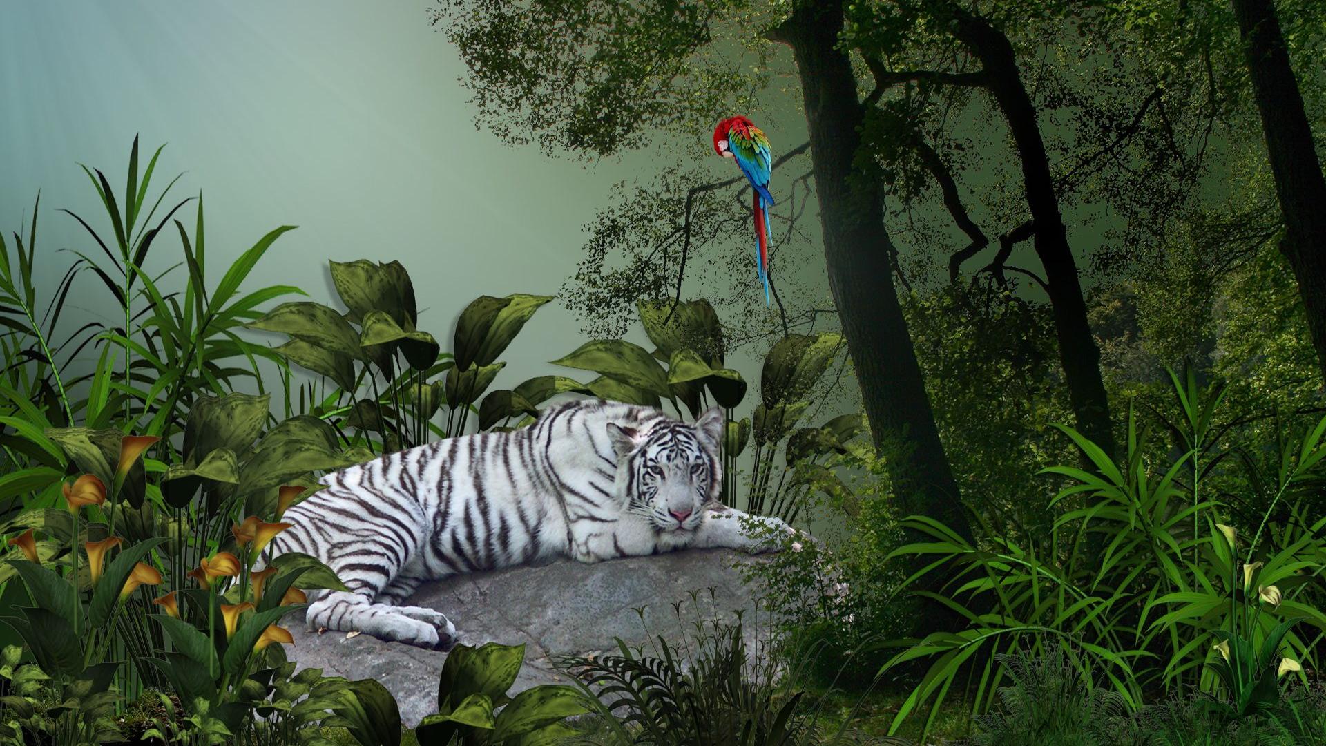 Image Real Life Jungle Animals 19x1080 Wallpaper Teahub Io