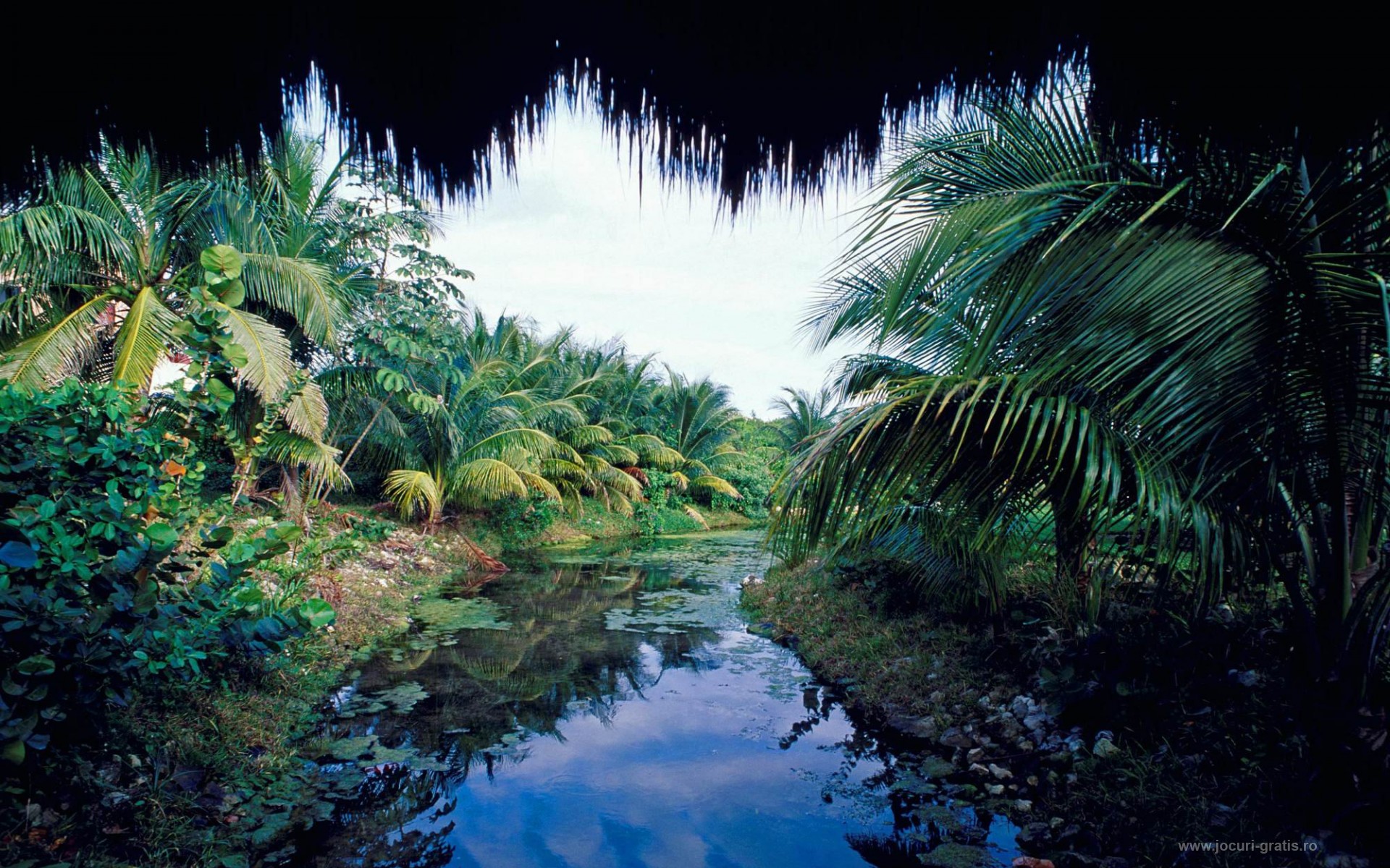 Mexico Nature - HD Wallpaper 