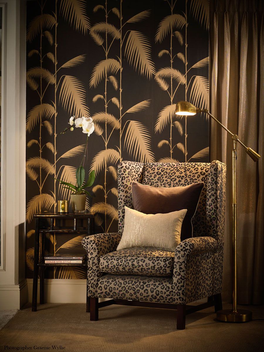 Palm Cole And Son - HD Wallpaper 