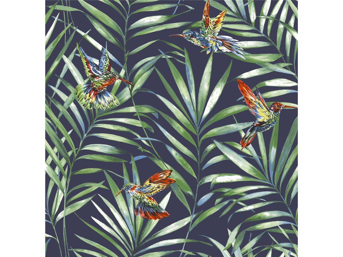 Hummingbird Wallpaper Wilko - HD Wallpaper 