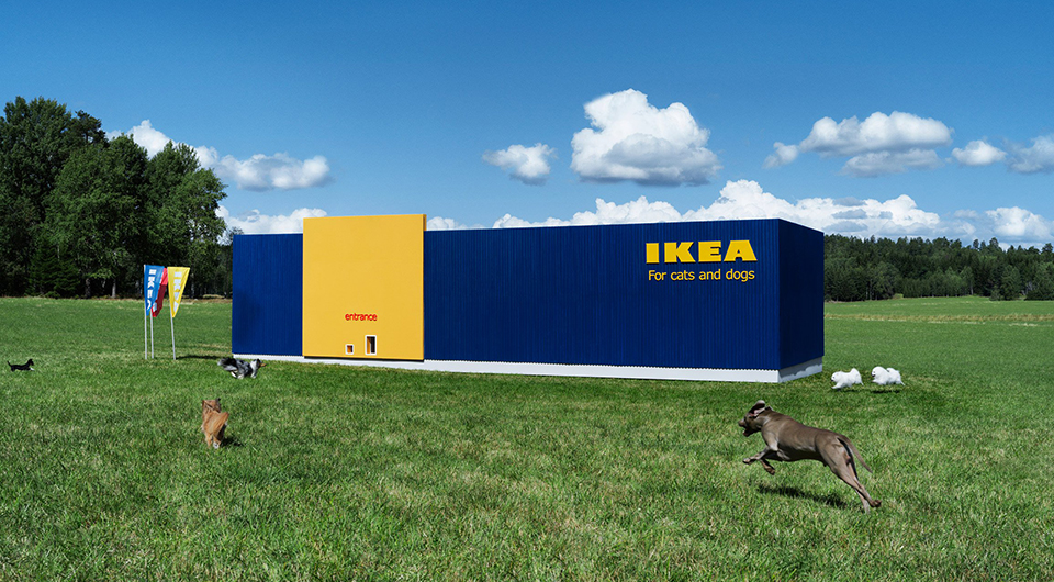 Ikea Lurvig - Ikea Pet Ad - HD Wallpaper 
