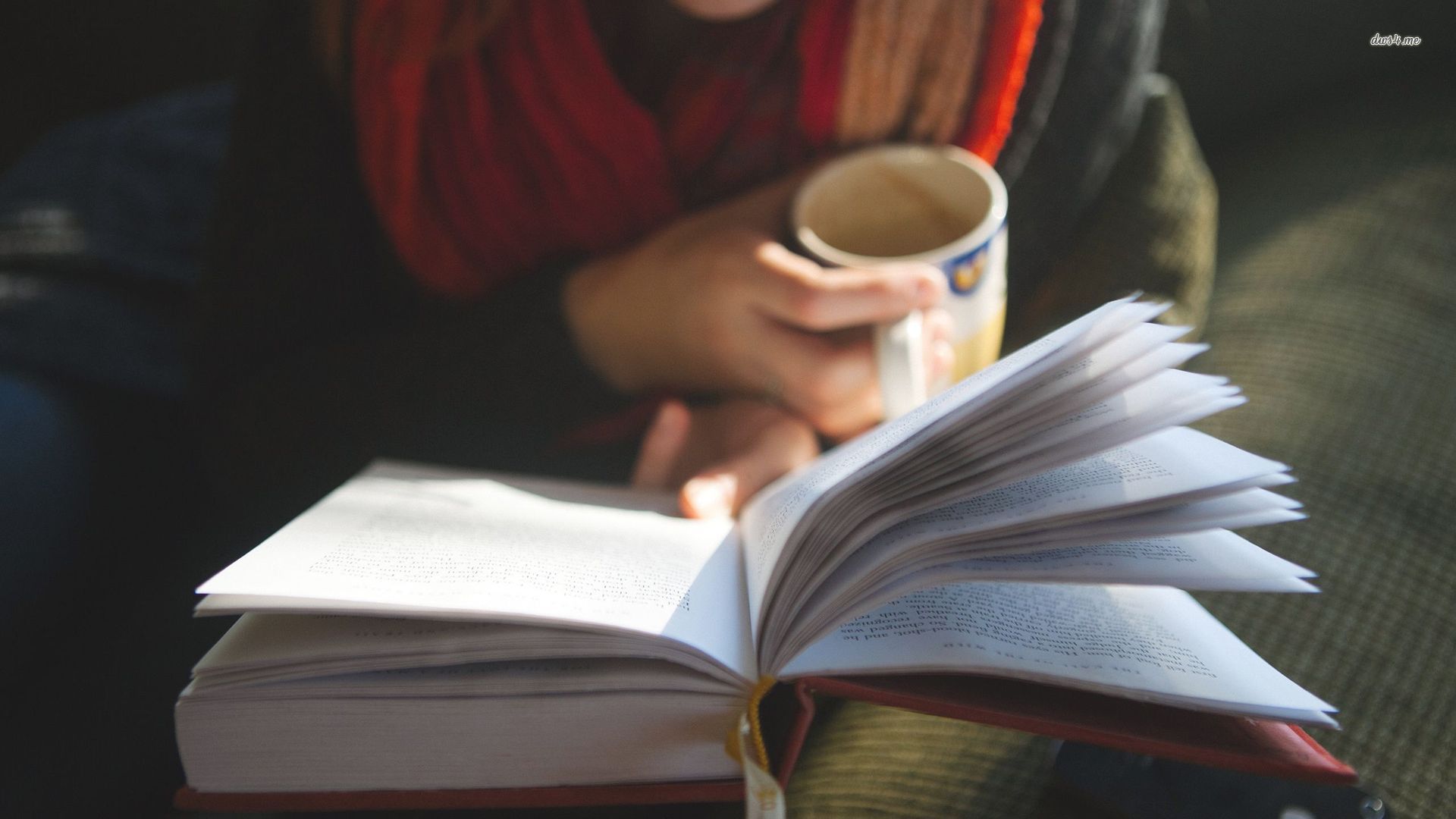 Reading Books 1920x1080 Wallpaper Teahub io reading-books-1920x1080-wallpaper-teahub-io
