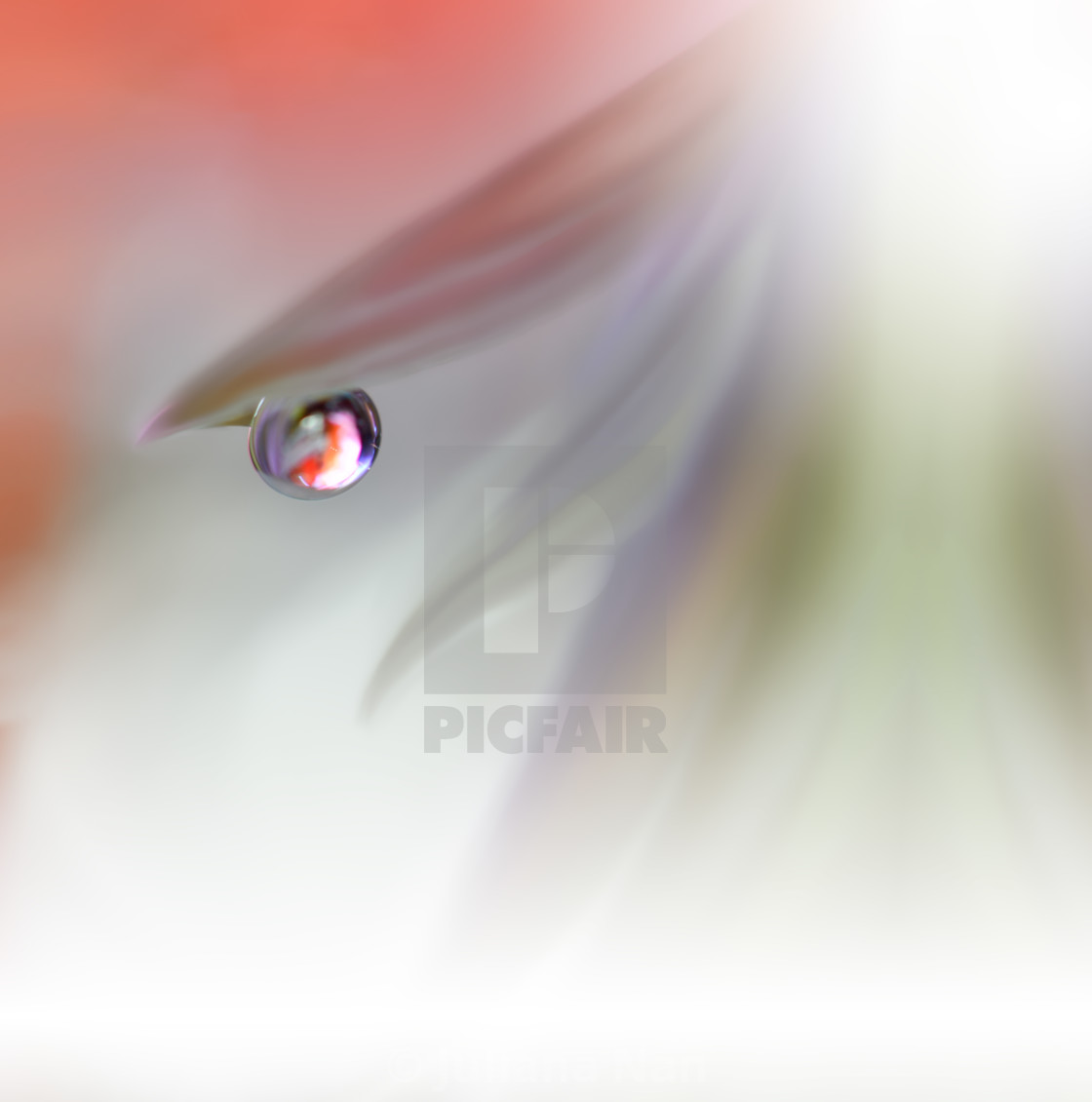 Amazing Colorful Wallpaper - Close-up - HD Wallpaper 