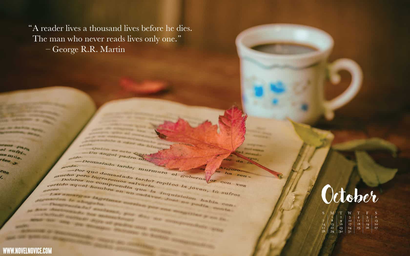 Autumn And Book Cosy - HD Wallpaper 