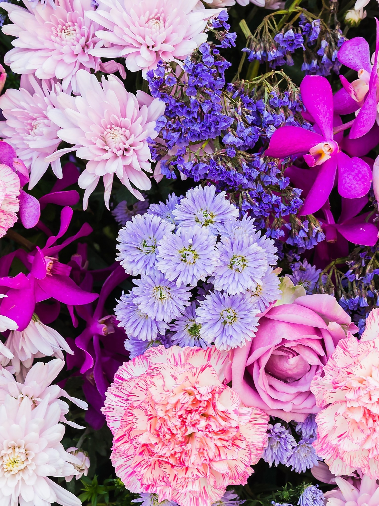 Colorful Flowers, Botanical Garden - HD Wallpaper 