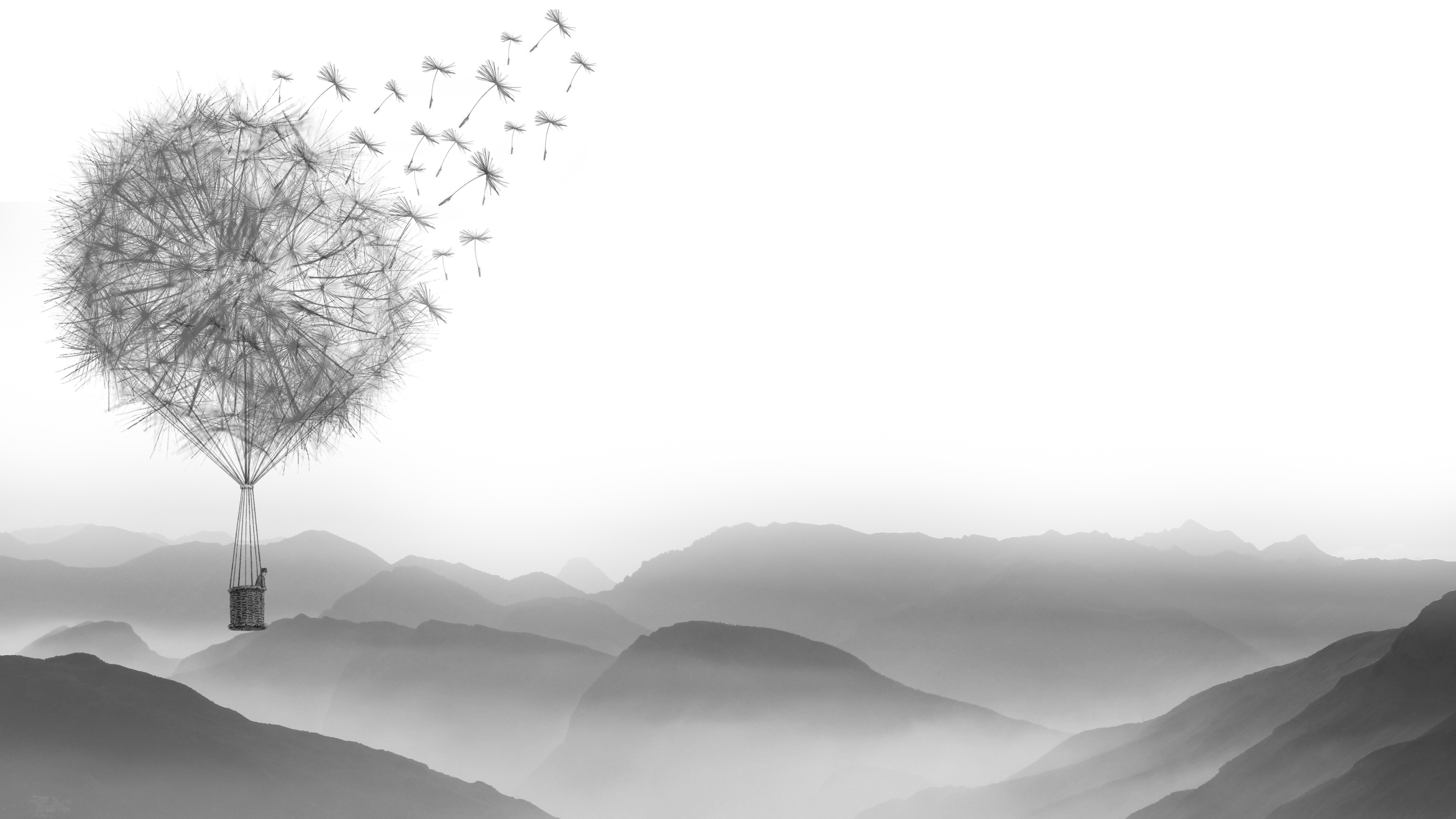 Dandelion Air Balloon 4k - Dandelion Air Balloon Background - HD Wallpaper 