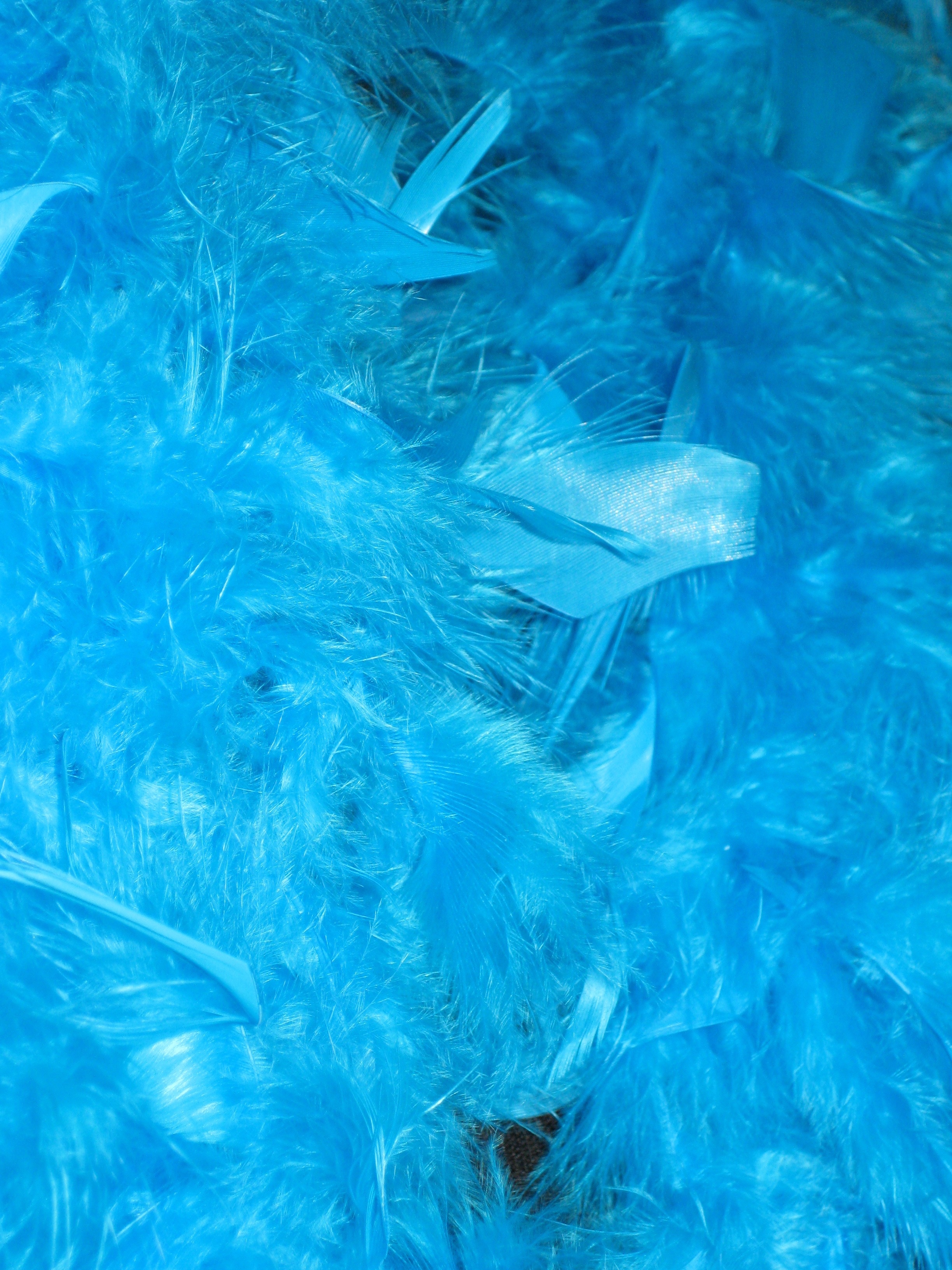 Feather - HD Wallpaper 