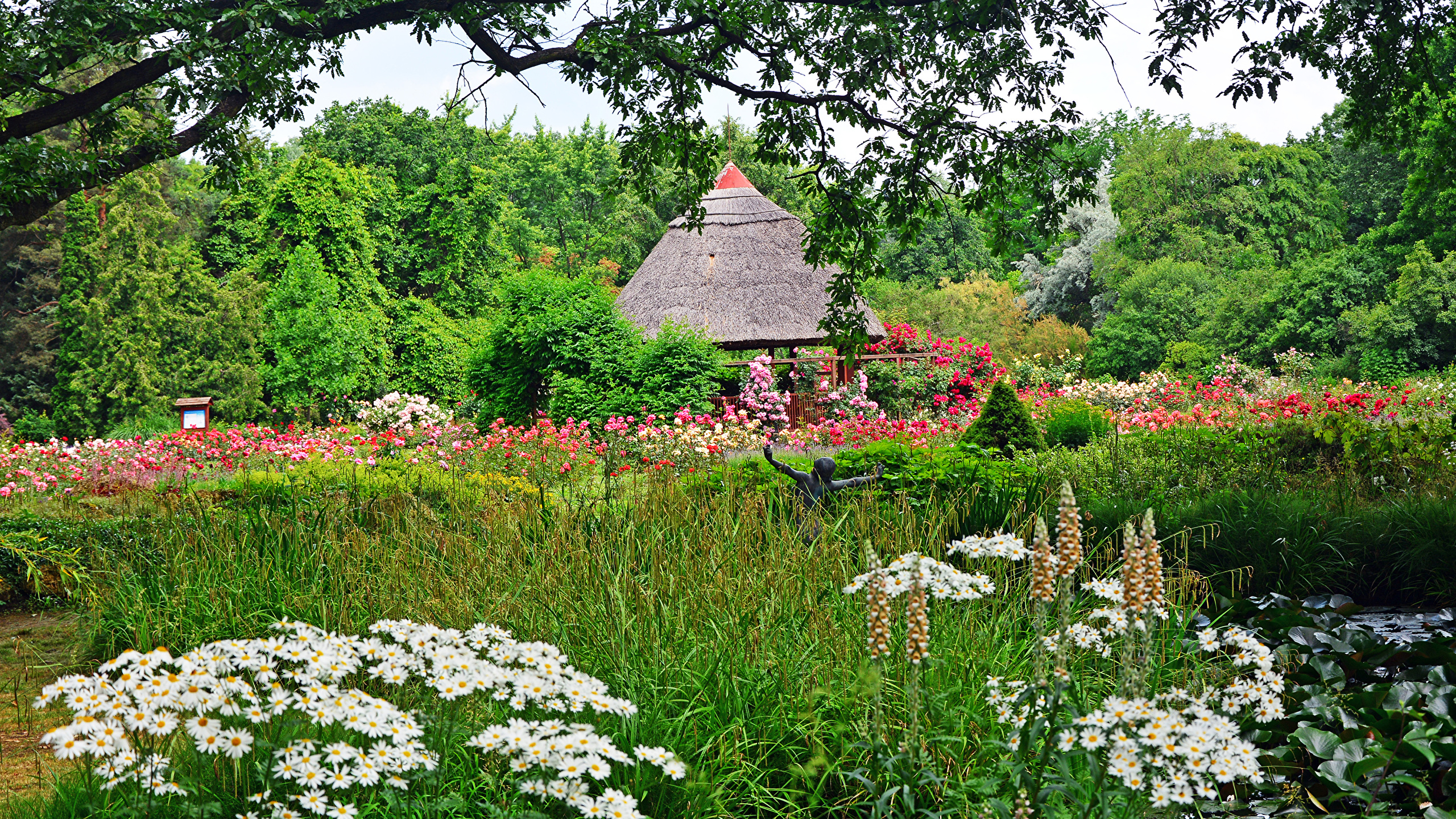 Botanical Garden Of Szeged - HD Wallpaper 
