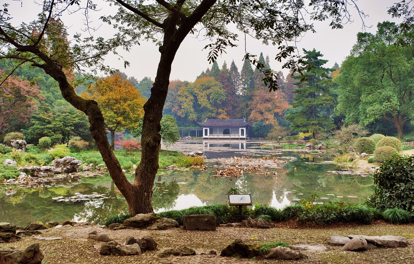 Photo Wallpaper Grass, Trees, Pond, Stones, Garden, - Hangzhou Botanical Garden - HD Wallpaper 