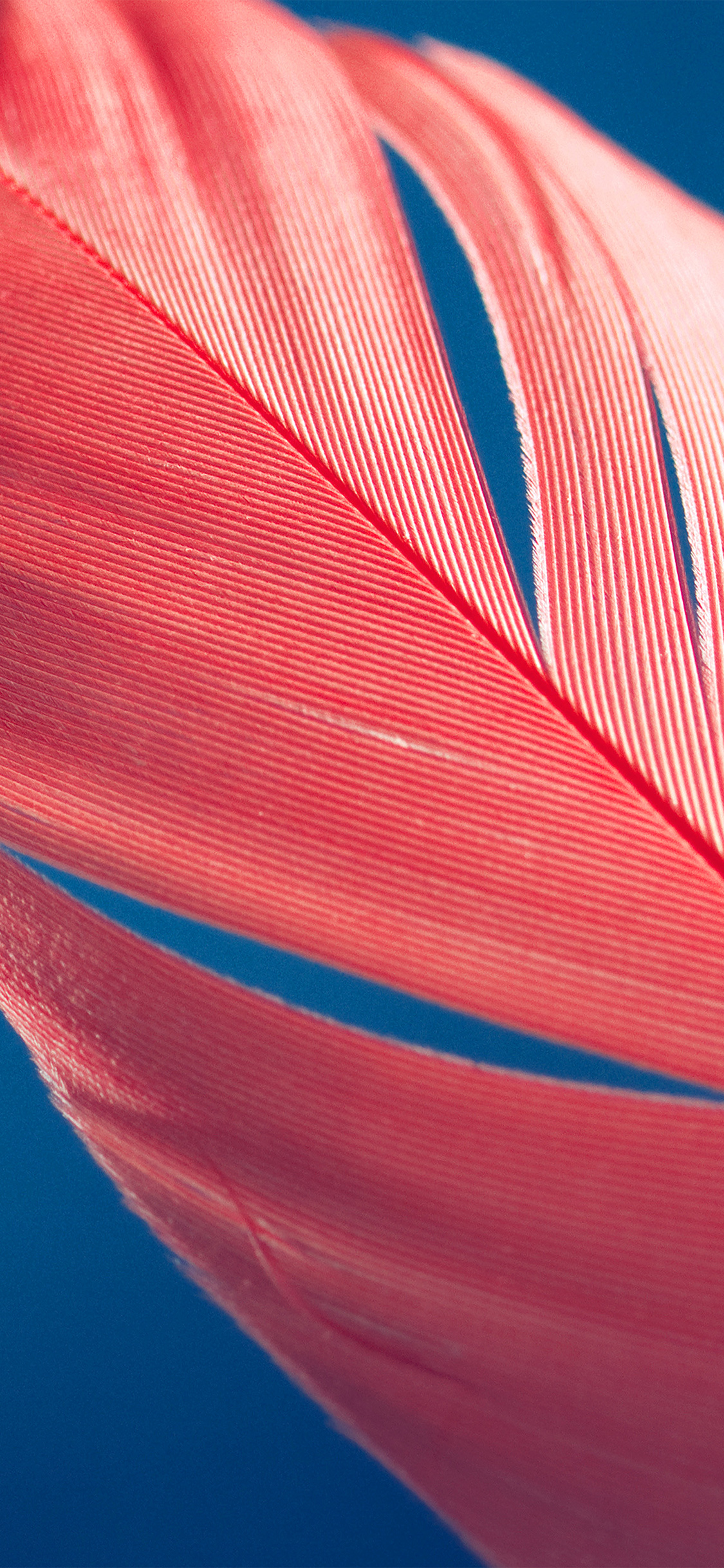 Iphone X Wallpaper Style - HD Wallpaper 