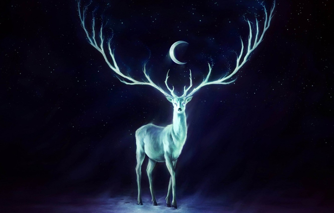 Photo Wallpaper Wallpapers, Painting, White Peacock - Artemis Stag - HD Wallpaper 