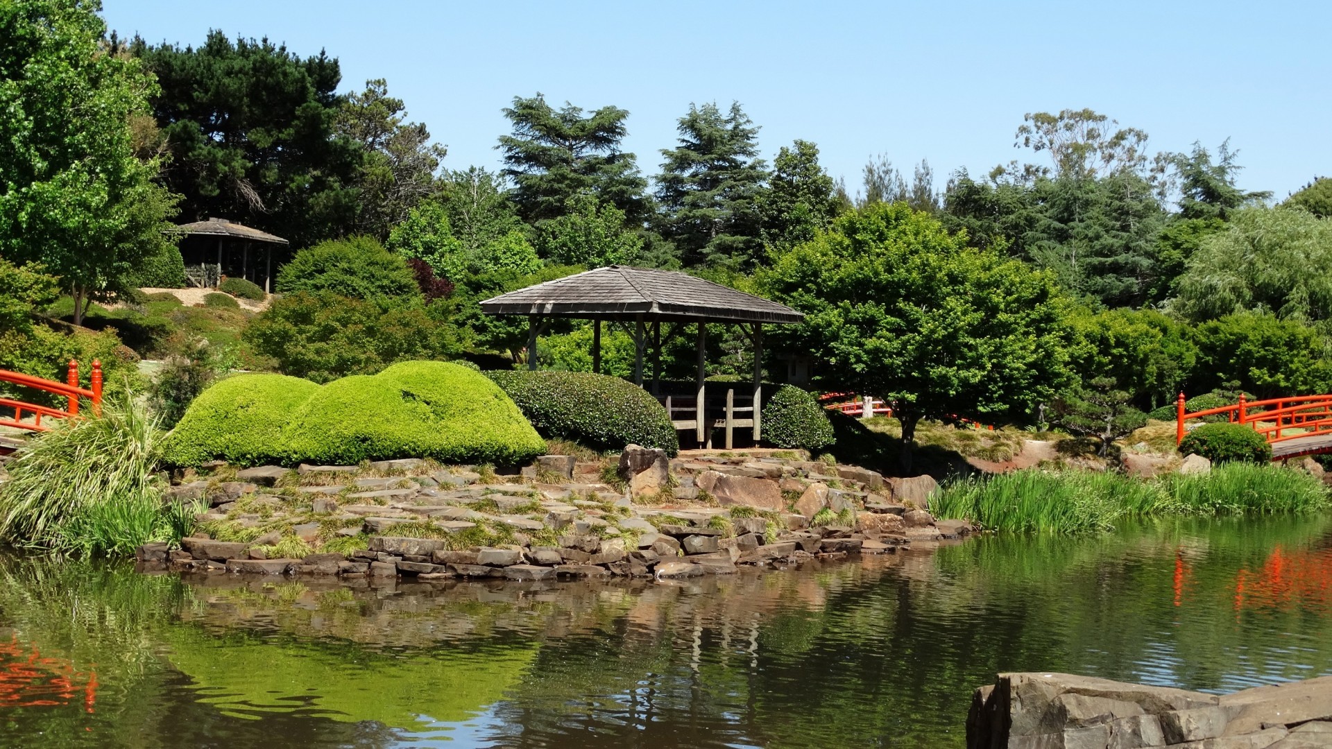 Botanical Garden, Water, Green, Plants, Pond - Fish Pond - HD Wallpaper 