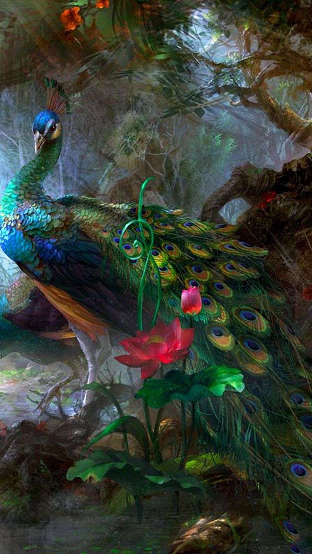 Peacock Wallpaper Free Download - HD Wallpaper 