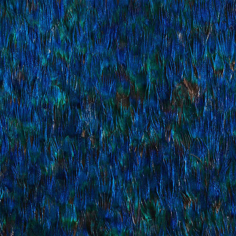 Grass - HD Wallpaper 